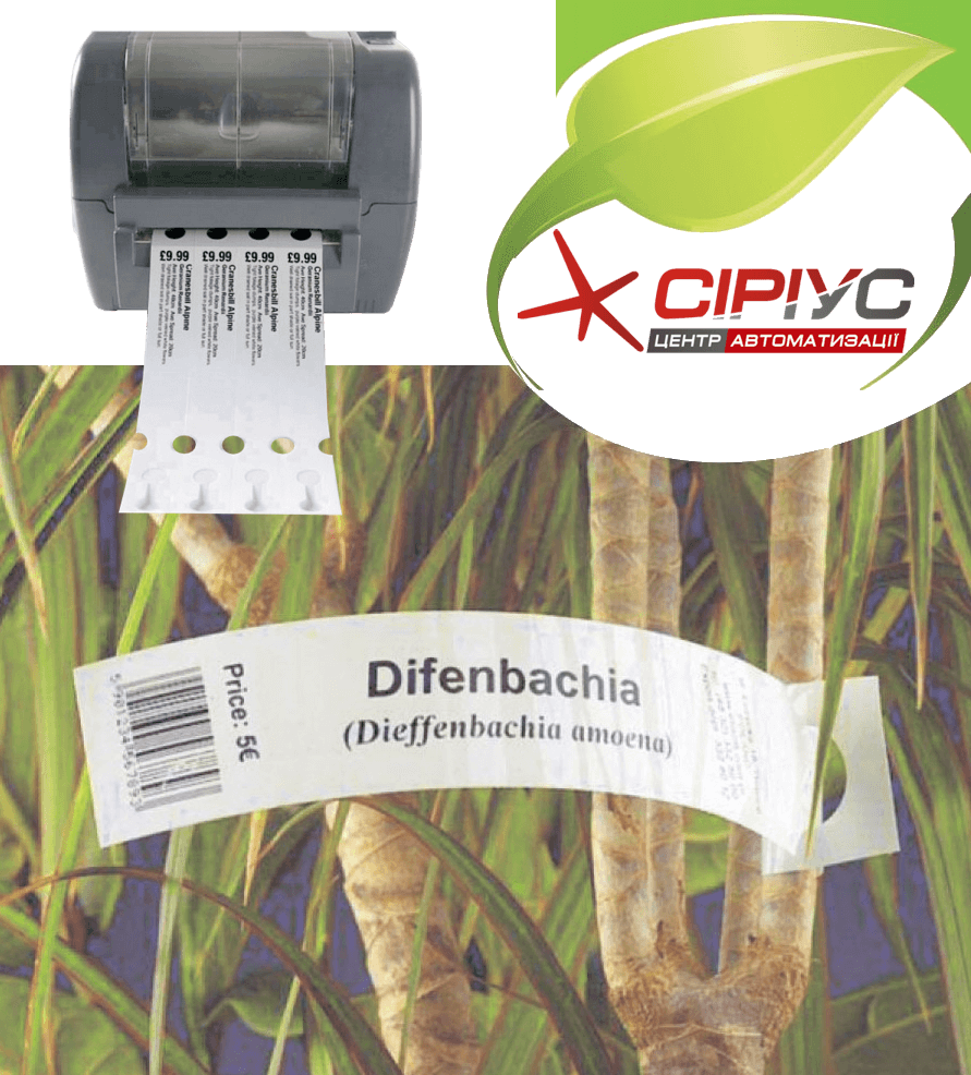 Бірка Вушко