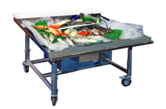 Холодильна вітрина для морепродуктів Вірджинія ICE — Технохолод