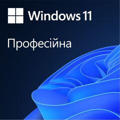 Windows 11 Pro OEM